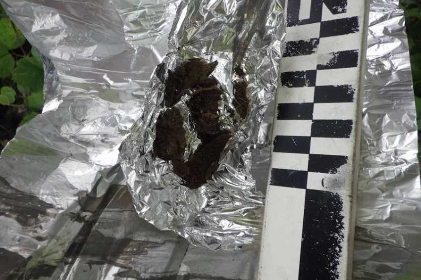 1000-летний тайник индейцев племени дене найден недалеко от залива Кука