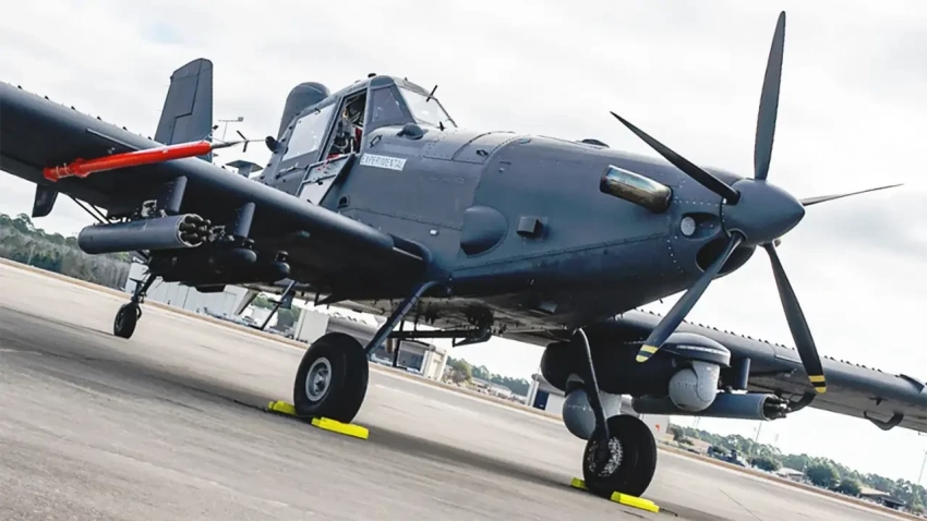 А он, чудак, не мог понять никак, куда улетать…